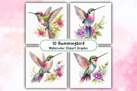Download Hummingbird Watercolor Clipart - Premium Resources