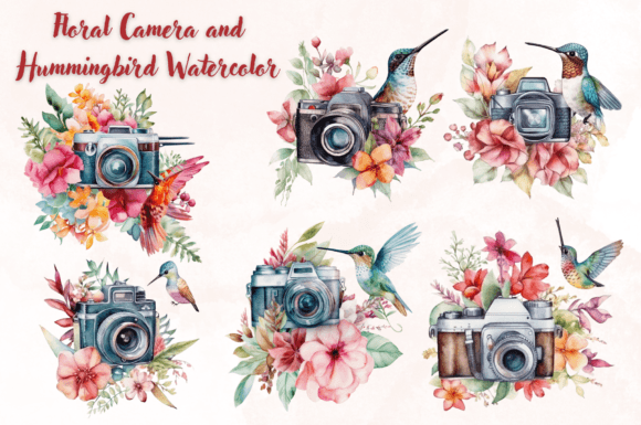 Download Floral Camera and Hummingbird Watercolor - Premium Resources